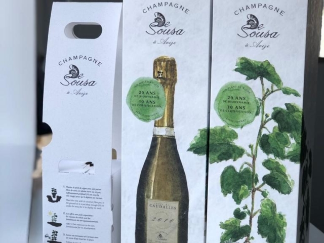 Champagne De Sousa organic